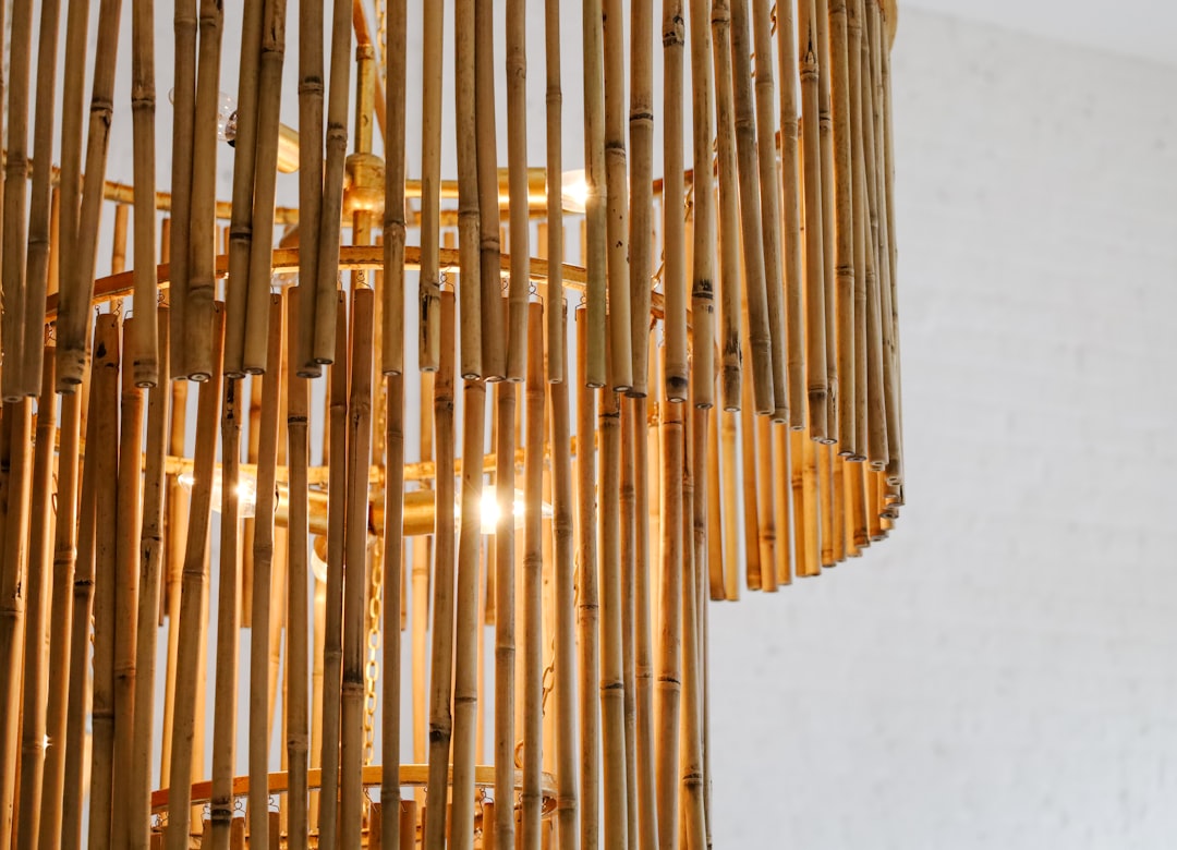 Photo bamboo chandelier