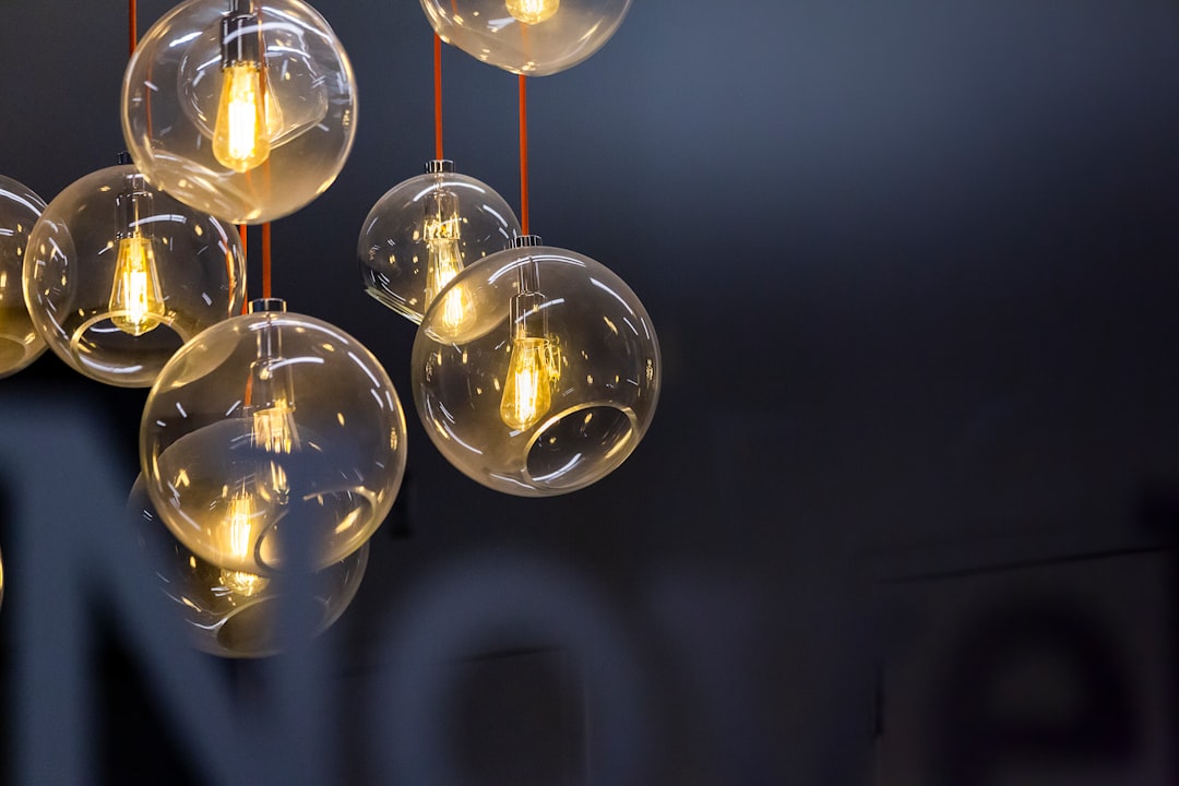 Photo pendant lamp